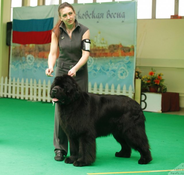 Фотография № 93644