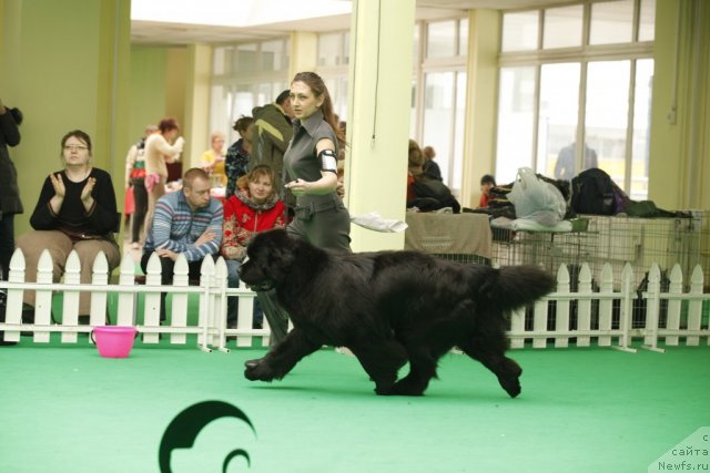 Фотография № 93649