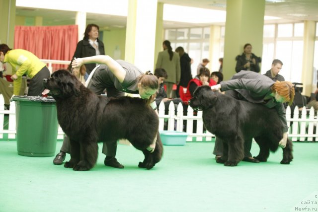 Фотография № 93651