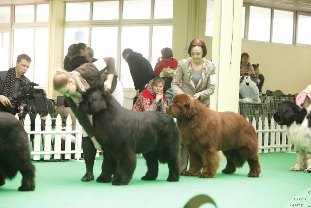 Фотография № 93657