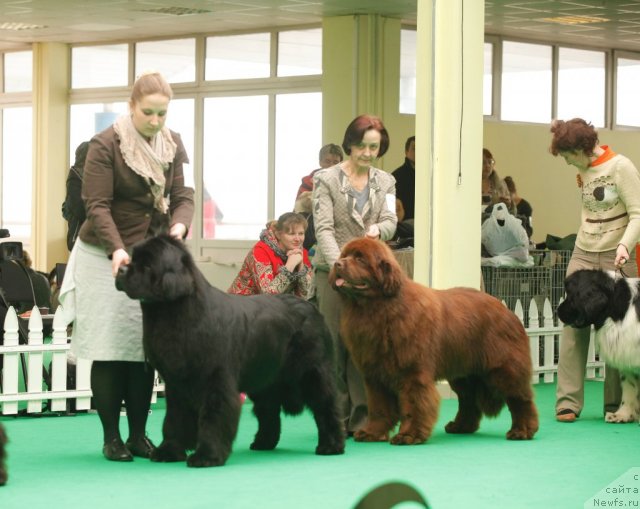 Фотография № 93661