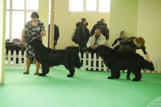 Фотография № 93662