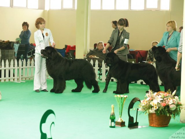 Фотография № 93663