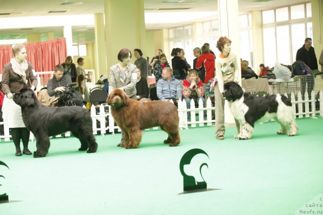 Фотография № 93664