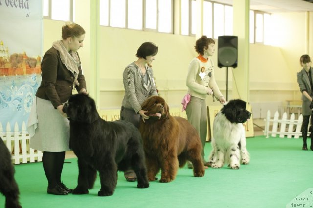 Фотография № 93667