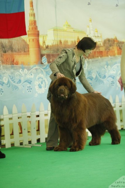 Фотография № 93669