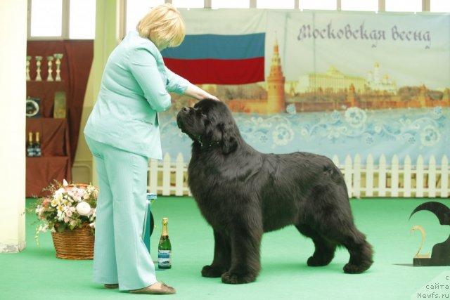 Фотография № 93670