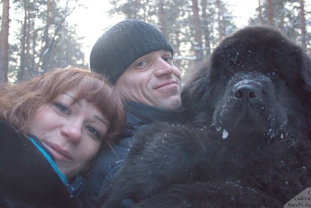 Фото: ньюфаундленд Дар Свезы Бесаме Мучо