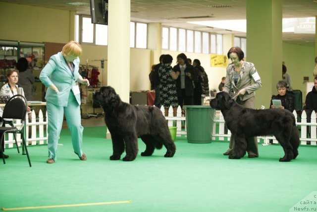 Фотография № 93731