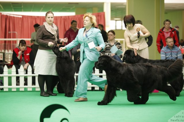 Фотография № 93732