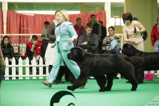 Фотография № 93733