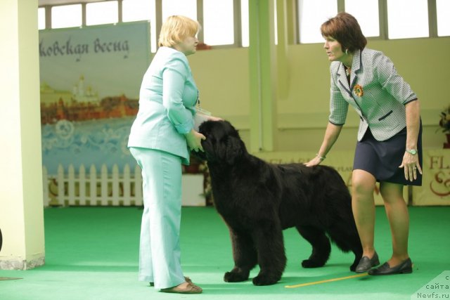 Фотография № 93734