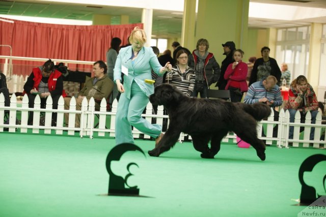 Фотография № 93735