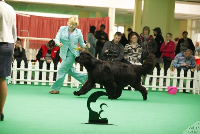 Фотография № 93736