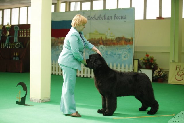 Фотография № 93737