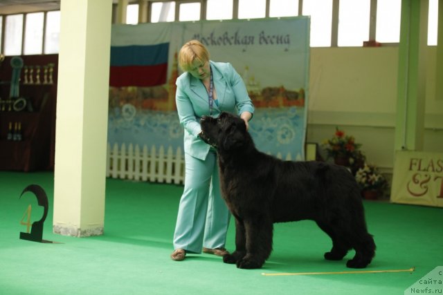 Фотография № 93738