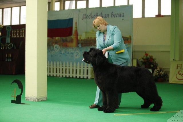 Фотография № 93739