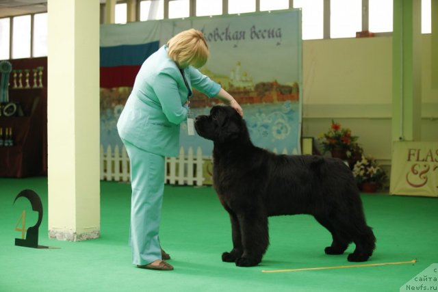 Фотография № 93740