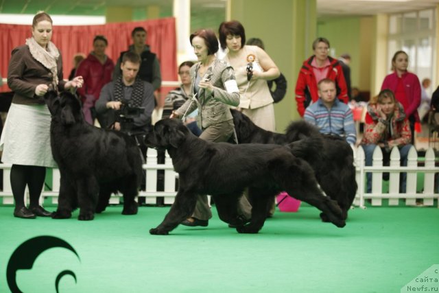 Фотография № 93741