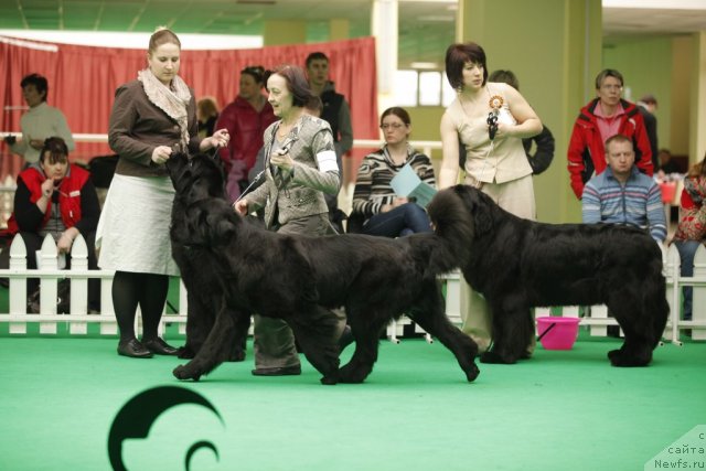 Фотография № 93742