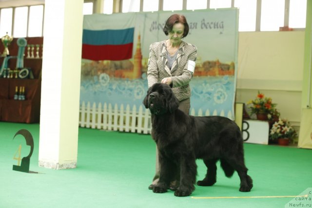 Фотография № 93743