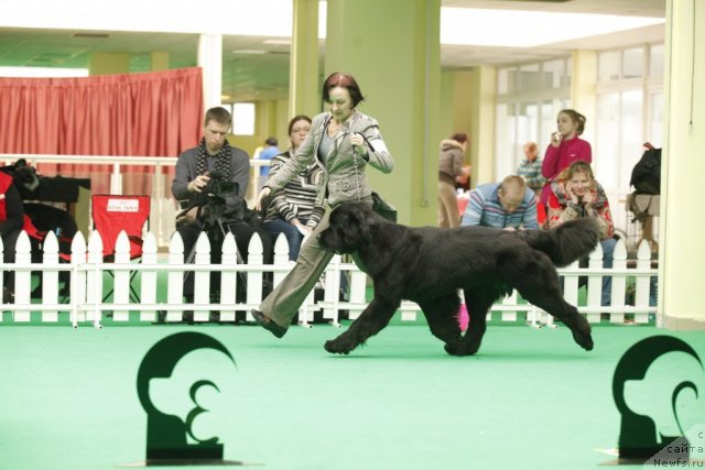 Фотография № 93744