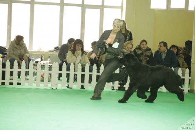 Фотография № 93746