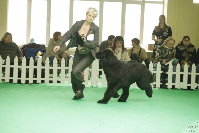 Фотография № 93747