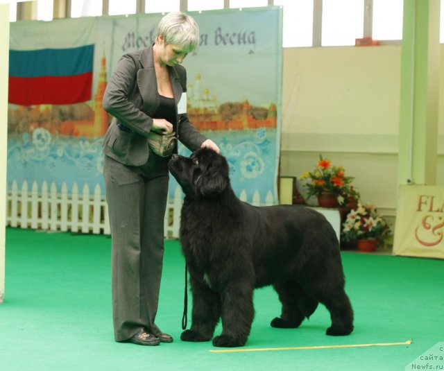 Фотография № 93749