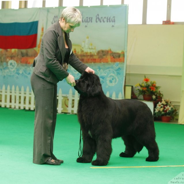 Фотография № 93750