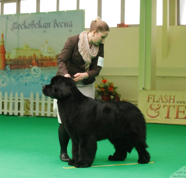 Фотография № 93753