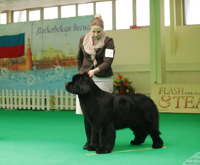 Фотография № 93754