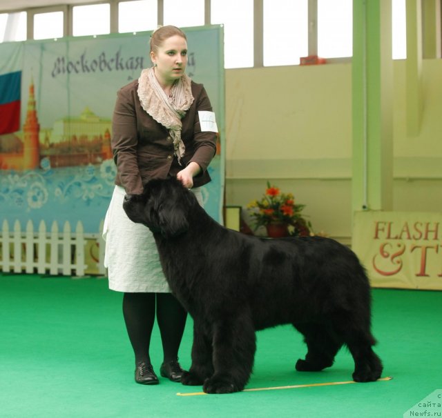 Фотография № 93755