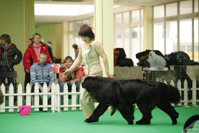 Фотография № 93759