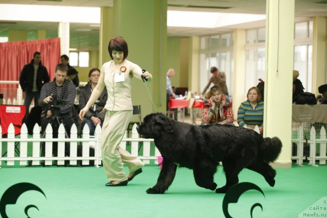 Фотография № 93760