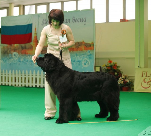 Фотография № 93761