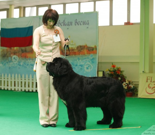 Фотография № 93763