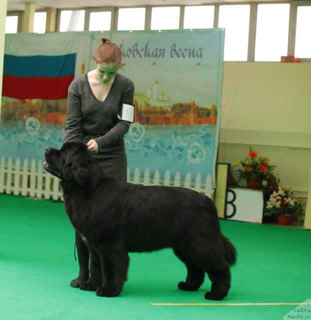 Фотография № 93764