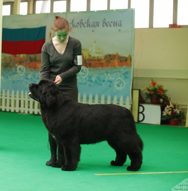 Фотография № 93765