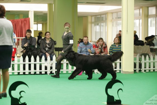 Фотография № 93767