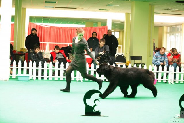 Фотография № 93768