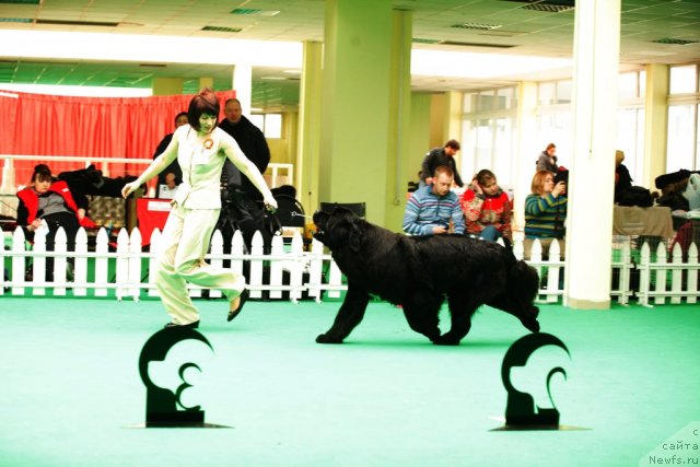 Фотография № 93769