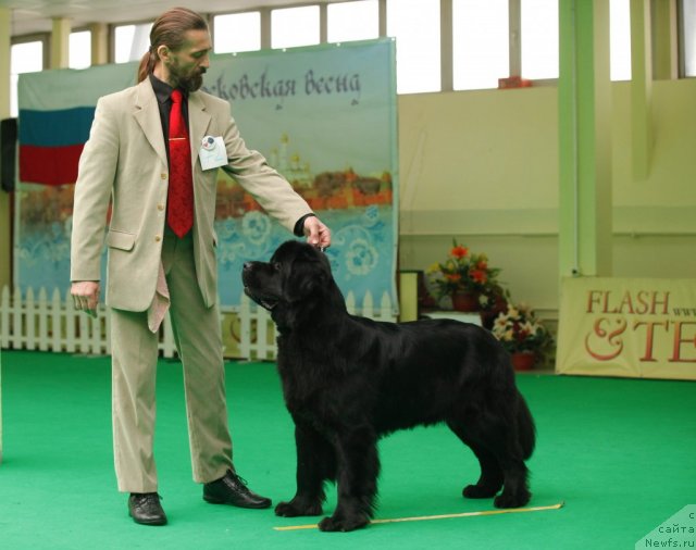 Фотография № 93770