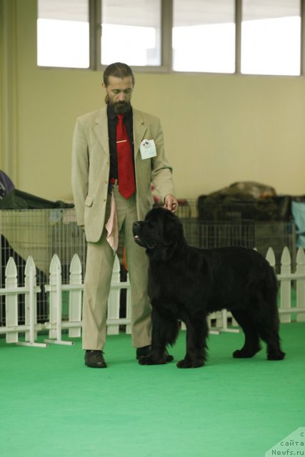 Фотография № 93771