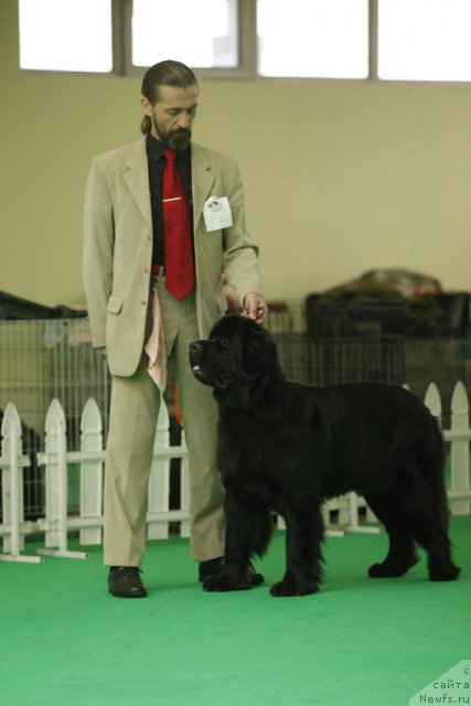 Фотография № 93772