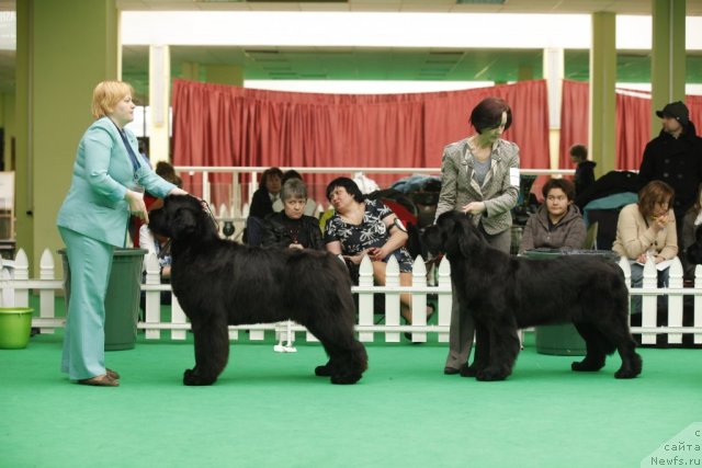 Фотография № 93774