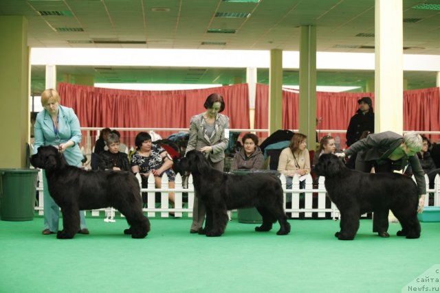 Фотография № 93775