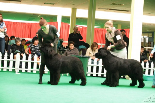 Фотография № 93776