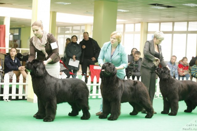 Фотография № 93777