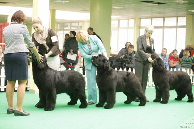 Фотография № 93778